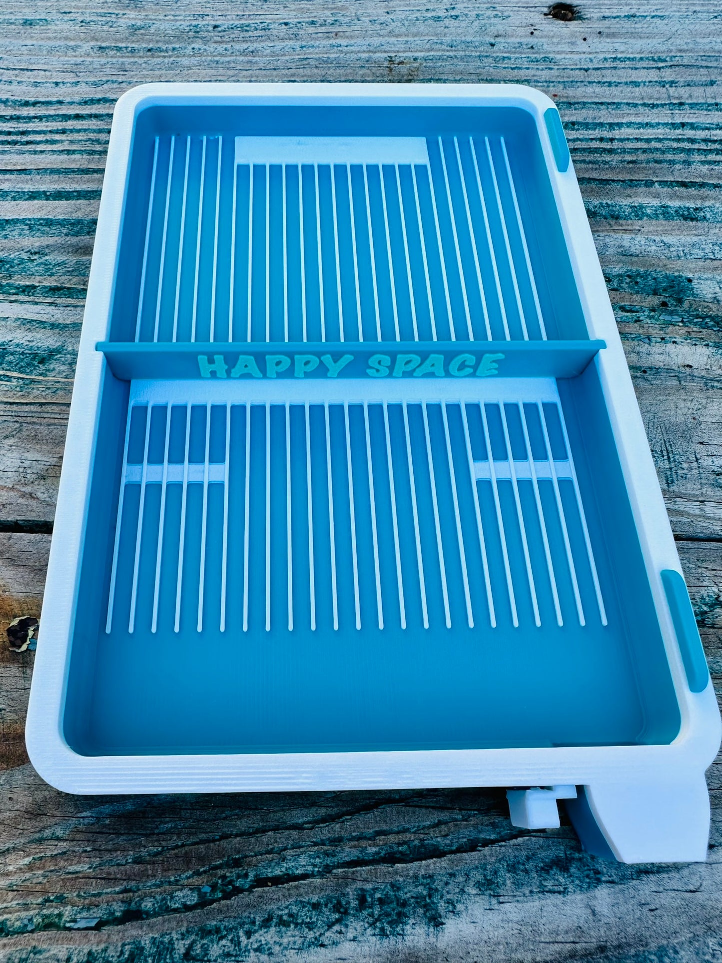 Big Flipping Tray with Lid